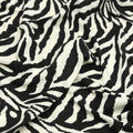 Zebras Manta de Misako vue générale 