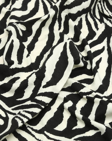 Zebras Manta de Misako vue générale 