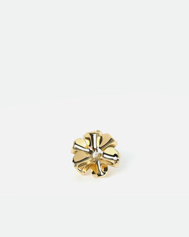Mein Ring 