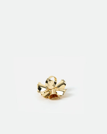 Mein Ring 