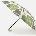 Oliva Umbrella 