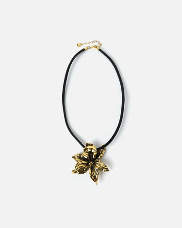 Amina Collar 